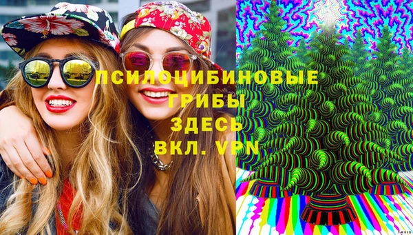 мескалин Алексин