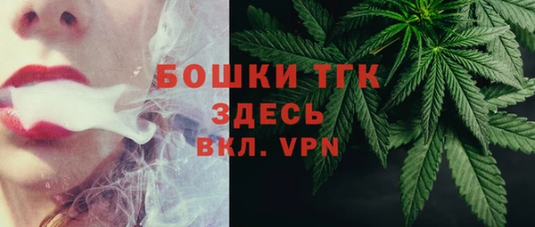гидра Алексеевка